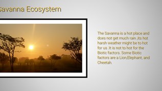 The Savanna Ecostystem At Emaze Presentation