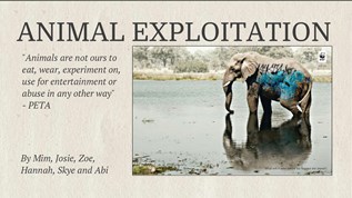 Animal Exploitation at emaze Presentation