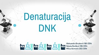 Denaturacija DNK at emaze Presentation