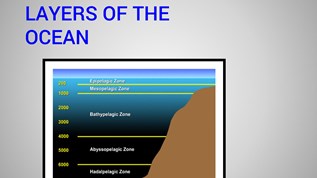 Layers of the ocean at emaze Presentation