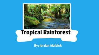 Tropical Rainforest At Emaze Presentation