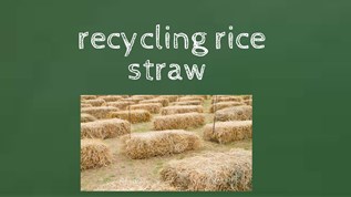 recycling rice straw at emaze Presentation