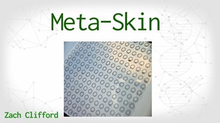 Meta-Skin at emaze Presentation