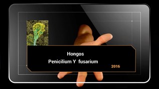 Hongos Fusarium at emaze Presentation