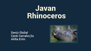 Javan Rhino at emaze Presentation