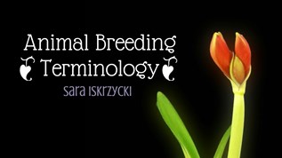 Animal Breeding At Emaze Presentation