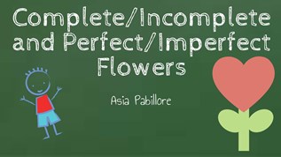 CompleteIncomplete at emaze Presentation