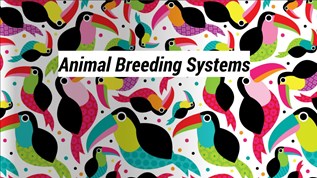 Animal Breeding Systems At Emaze Presentation