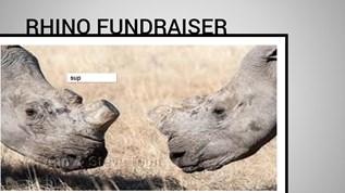 Rhino Fundraiser at emaze Presentation