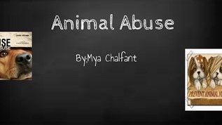 Animal Abuse at emaze Presentation