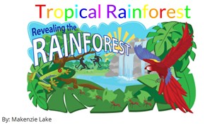 Tropical Rainforest Biome At Emaze Presentation