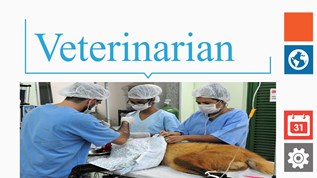 Vet At Emaze Presentation