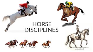 TYPES OF HORSE RACING at emaze Presentation