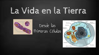 La Vida en la Tierra on emaze