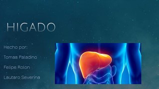 HIGADO at emaze Presentation