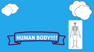 Human Body at emaze Presentation
