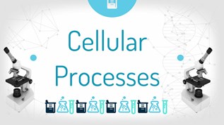 Cellular Processes at emaze Presentation
