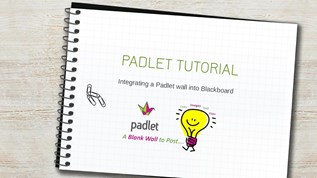 Padlet Tutorial At Emaze Presentation