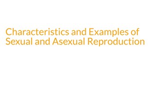 Characteristics and Examples of Sexual and Asexual Reproduction at