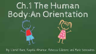 Ch.1 The Human at emaze Presentation