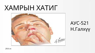 Хамрын at emaze Presentation