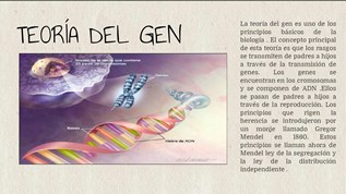 Teoria del gen guerrero_teoria_online