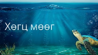 Хөгц мөөг on emaze