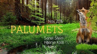 palumets at emaze Presentation