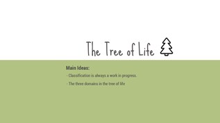 The Tree of Life at emaze Presentation