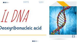 Il DNA at emaze Presentation