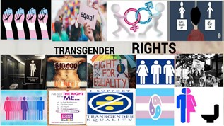 TRANSGENDER RIGHTS at emaze Presentation