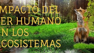 Impactos del ser humano en los ecosistemas at emaze Presentation
