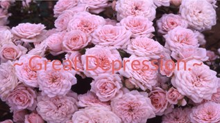 ~.Great Depression.~ at emaze Presentation