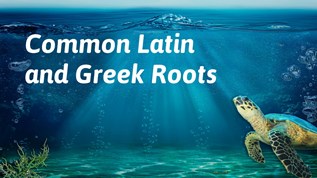 Common Latin and at emaze Presentation