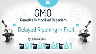 Delayed Ripening in at emaze Presentation