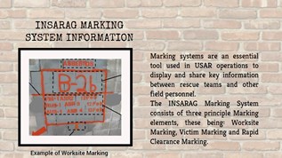 INSARAG MARKING at emaze Presentation
