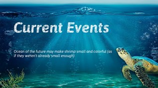 Current Events at emaze Presentation