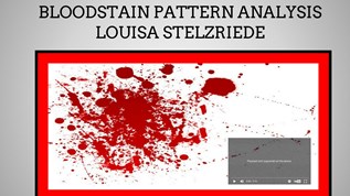 BlOODSTAIN PATTERN at emaze Presentation