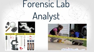 Forensic Lab Analyst at emaze Presentation