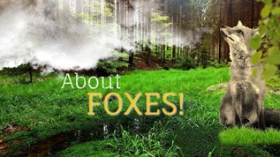 foxes! at emaze Presentation