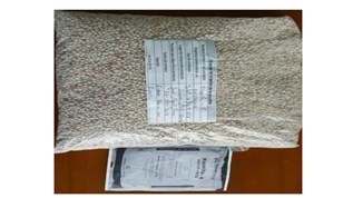 Untitled At Emaze Presentation