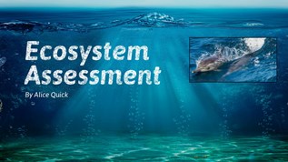 Ecosystem Assessment at emaze Presentation