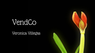 VendCo at emaze Presentation